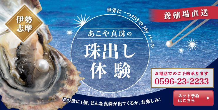 真珠の珠出し体験