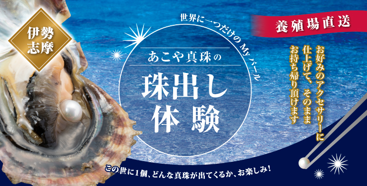 真珠の珠出し体験